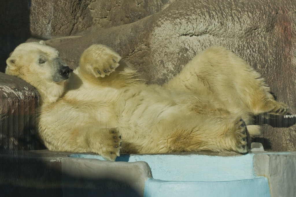 ������� ��������_DSC9081.jpg